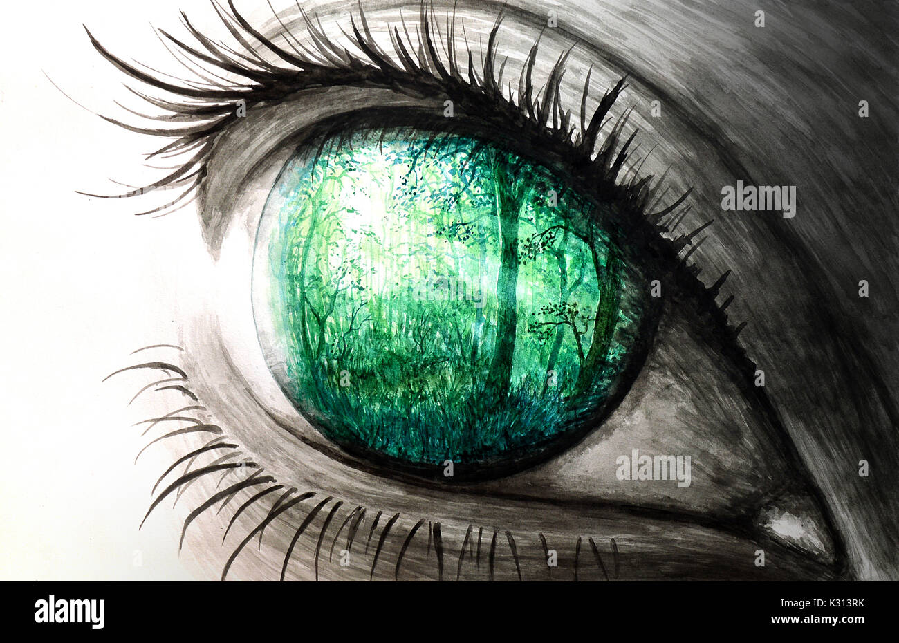 Acquerello illustrazione dell'occhio che riflette la natura. Anima della nostra mente. Foto Stock