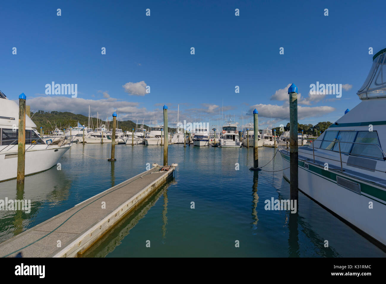 Grandi yacht in Whitianga Coromandel, Marina in Nuova Zelanda. Big Game barche da pesca ormeggiate sulla marina Foto Stock