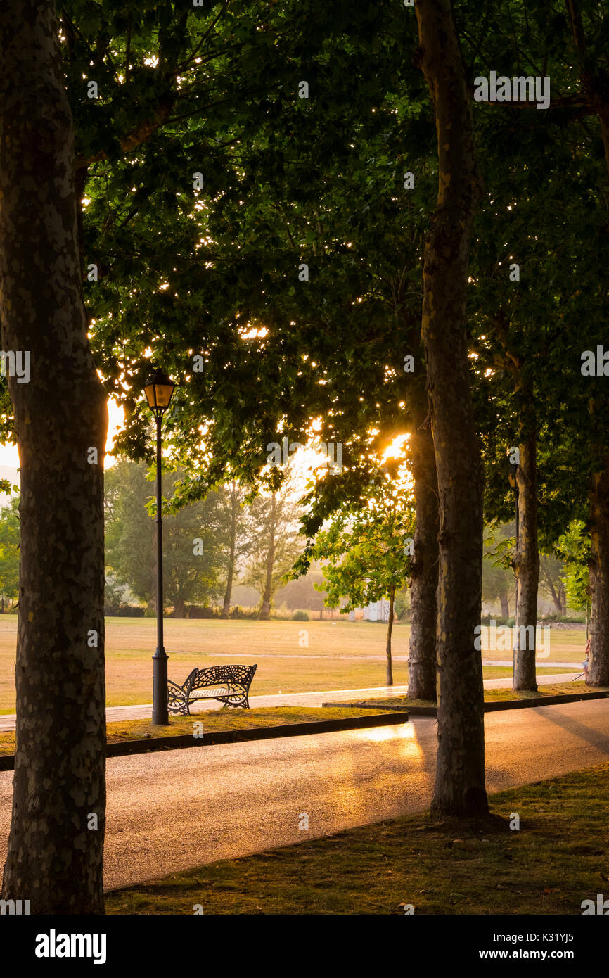 Tramonto nel parco. Villarcayo. Provincia di Burgos, Castilla-León, Spagna Europa Foto Stock