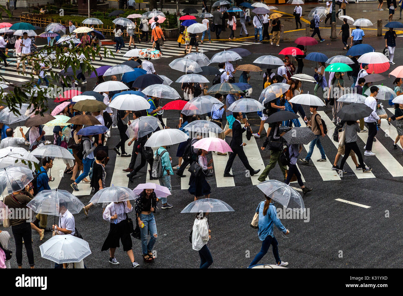 Incrocio di Shibuya Scramble - in media la metà di un milione di persone passano attraverso il Shibuya Crossing ogni giorno e 3000 per ciclo di attraversamento, picco a circa 4 Foto Stock