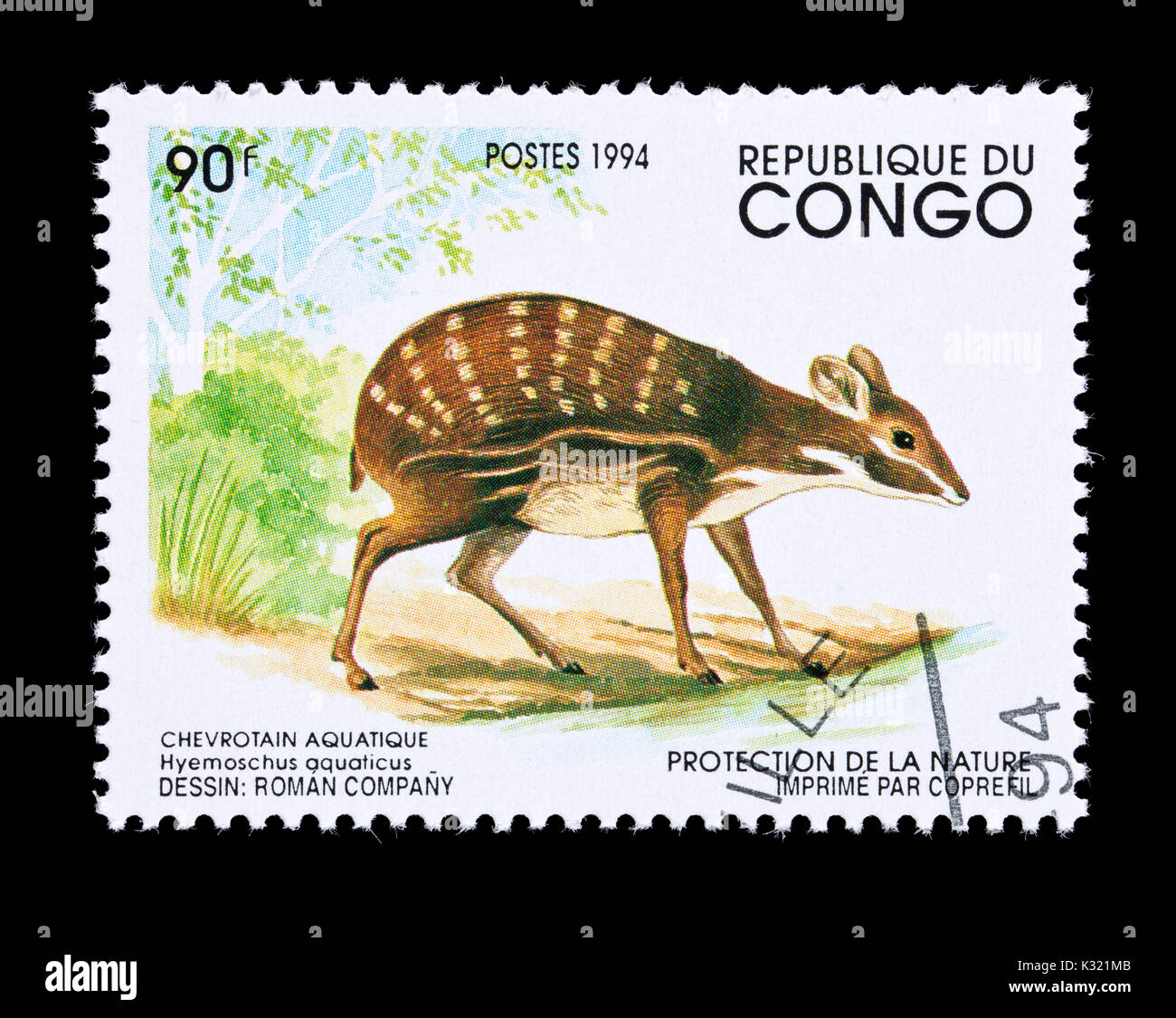 Francobollo dal Congo raffigurante un acqua o chevrotain fanged deer (Hyemoschus aquaticus) Foto Stock