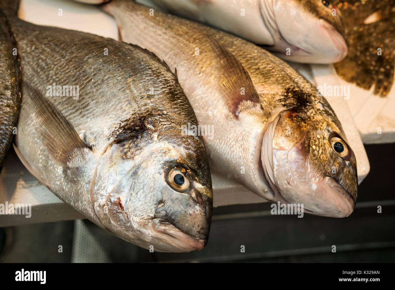 Orate in un mercato del pesce. Mercado Atarazanas, mercato spagnolo la città di Malaga, Costa del Sol, Andalusia Spagna meridionale, Europa Foto Stock