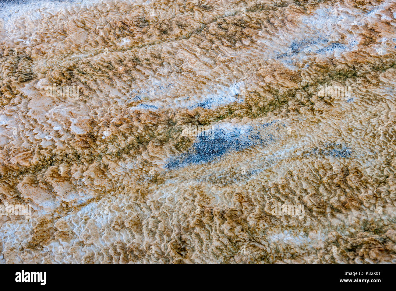Sfumature e texture del Mammoth Hot Springs area del Parco Nazionale di Yellowstone in inverno Foto Stock