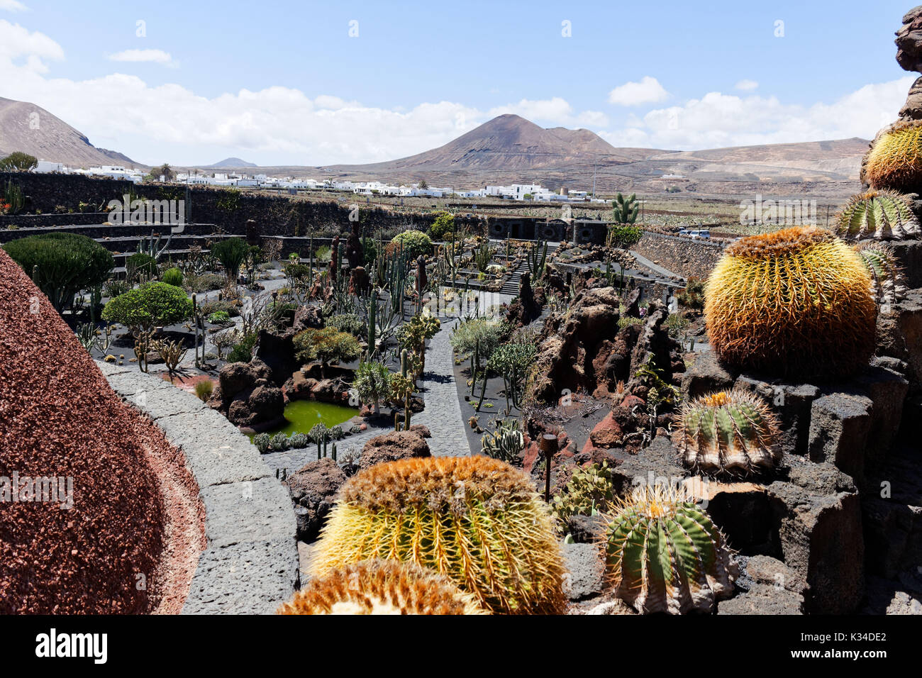 Teguise, Spagna. Guatiza il giardino dei cactus, creato da César Manrique, copre 5.000 m² e dispone di oltre 1.400 tipi di cactus. Foto Stock