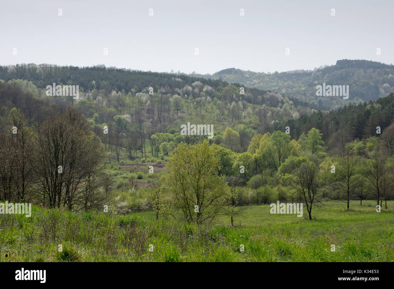 Bellissimo paesaggio ungherese con le colline di alberi Foto Stock