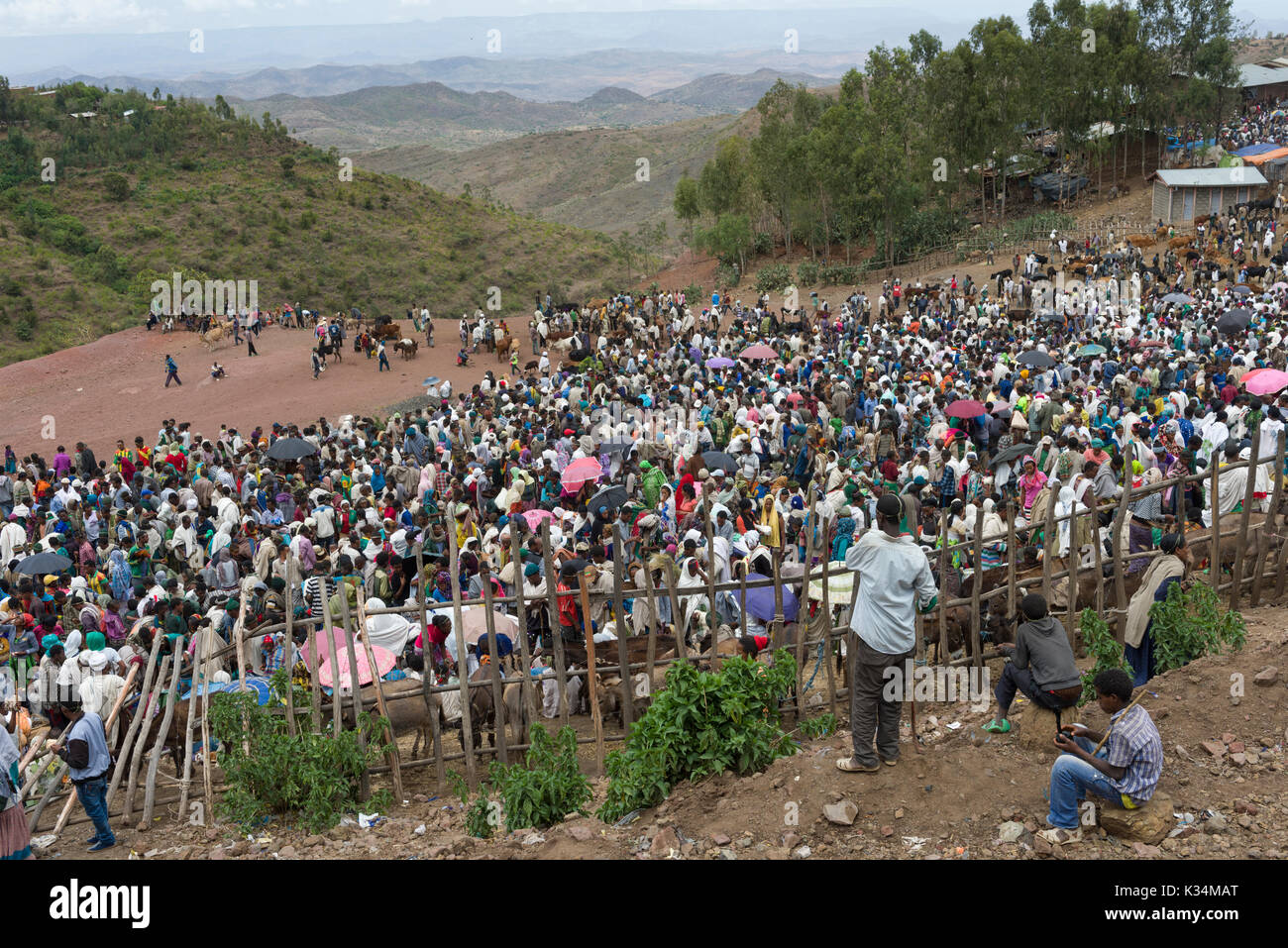 Folli folle al mercato all'aperto tenuto il sabato santo ortodosso etiopico Tewahedo per comprare cibo e celebrare la fine del periodo di quaresima, Lalibela, Amhara, Etiopia Foto Stock