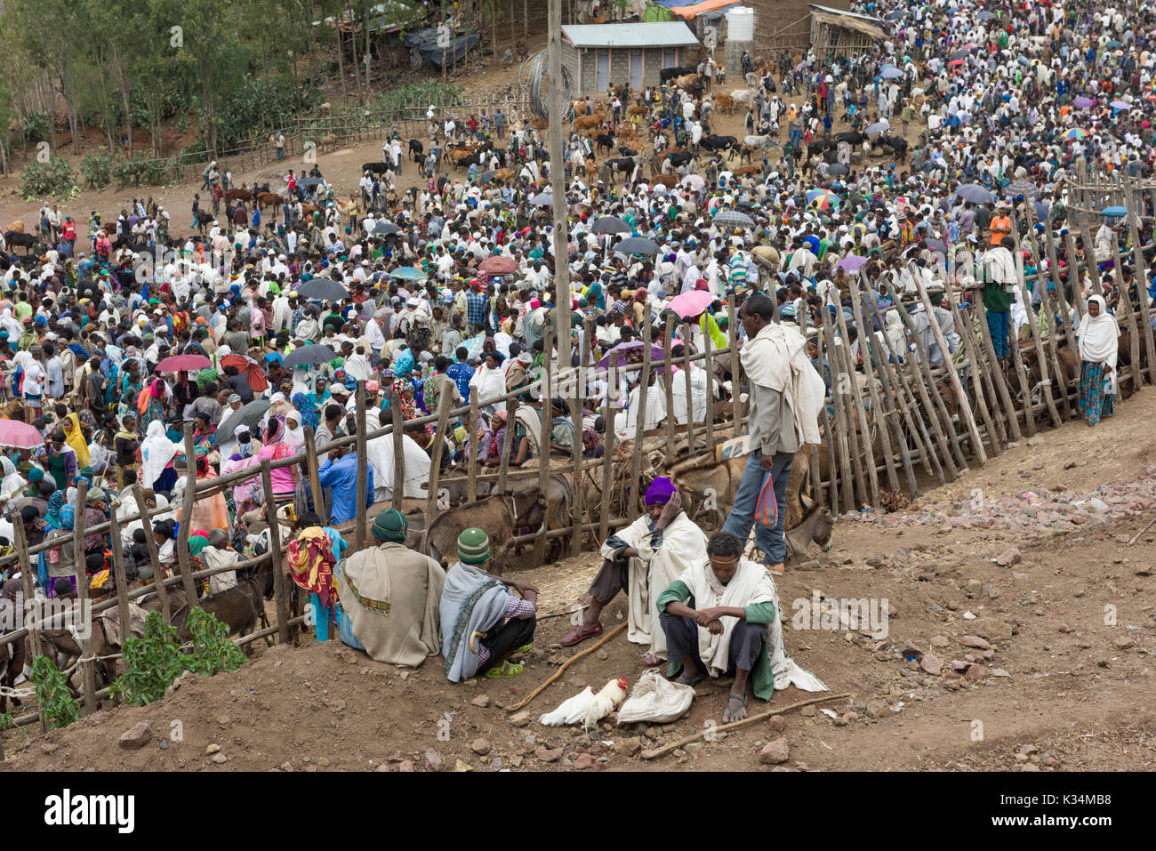 Folli folle al mercato all'aperto tenuto il sabato santo ortodosso etiopico Tewahedo per comprare cibo e celebrare la fine del periodo di quaresima, Lalibela, Amhara, Etiopia Foto Stock