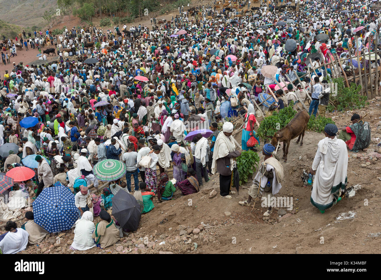 Folli folle al mercato all'aperto tenuto il sabato santo ortodosso etiopico Tewahedo per comprare cibo e celebrare la fine del periodo di quaresima, Lalibela, Amhara, Etiopia Foto Stock