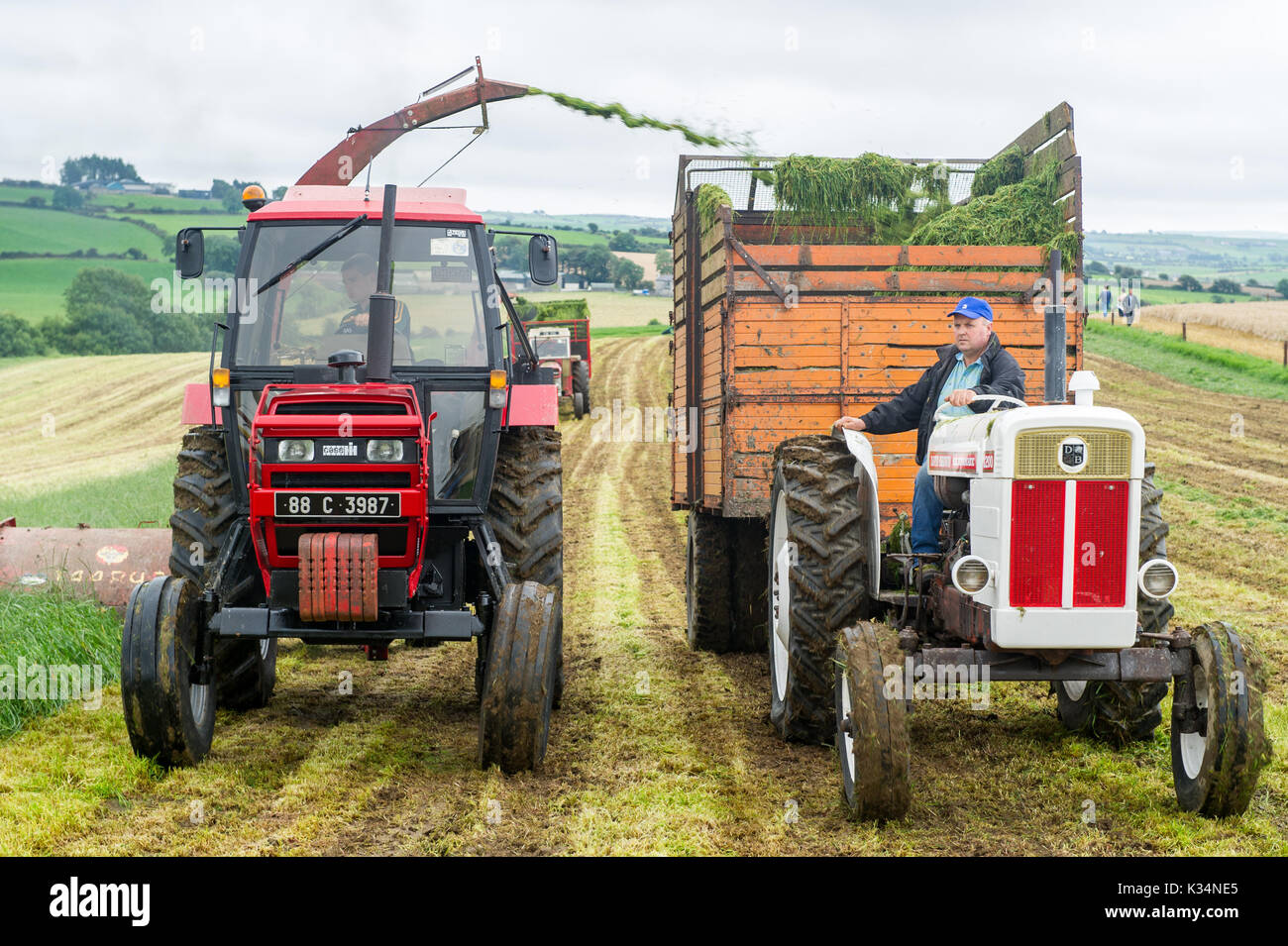 Vintage i trattori e i macchinari dare una dimostrazione di insilato in Ballinascarthy, West Cork, Irlanda. Foto Stock