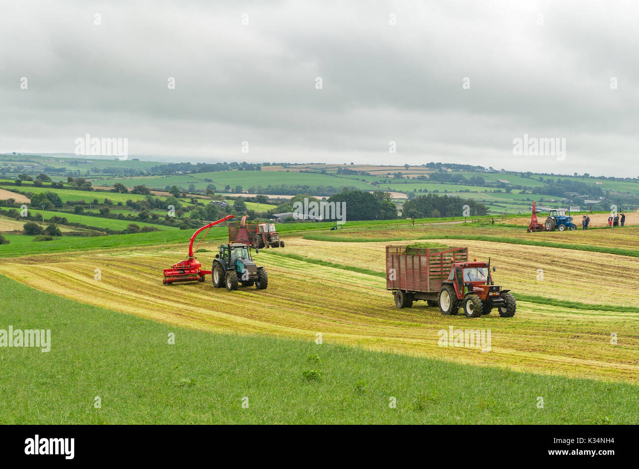 Vintage i trattori e i macchinari dare una dimostrazione di insilato con una vista sulla campagna in background in Ballinascarthy, West Cork, Irlanda Foto Stock