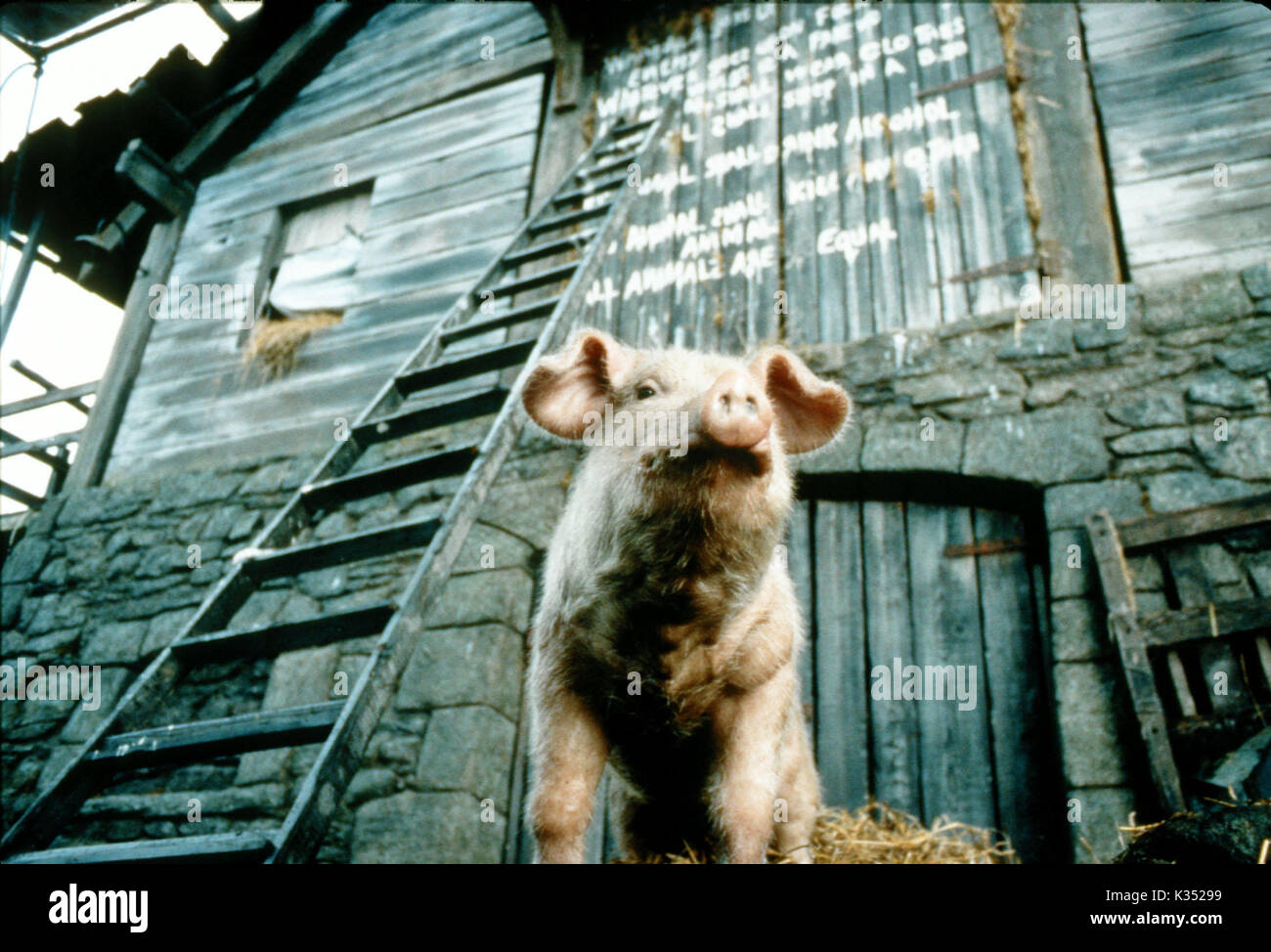 Animal farm cartoon immagini e fotografie stock ad alta risoluzione - Alamy