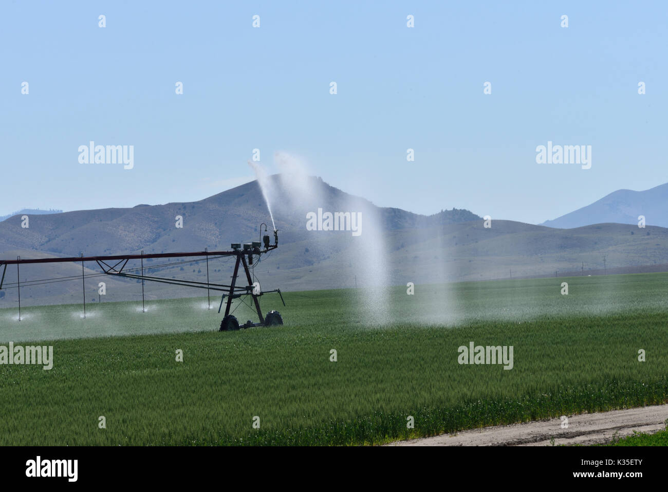 L'irrigazione delle colture su campo di grandi dimensioni Foto Stock