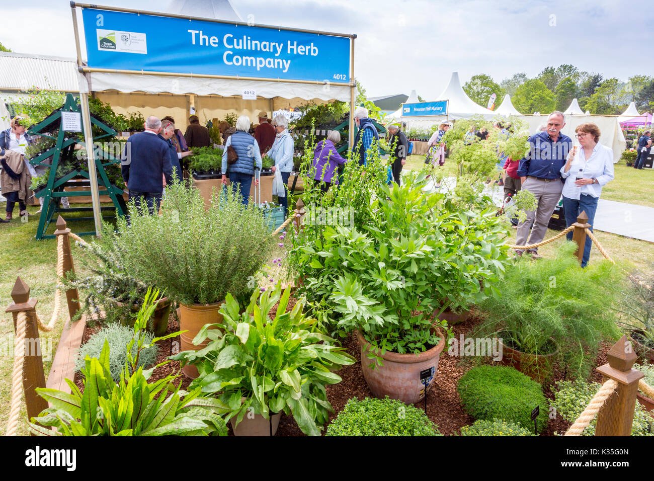 Un impressionante e variata outdoor display di vendita delle erbe culinarie al 2017 RHS Malvern spettacolo primaverile, Worcestershire, England, Regno Unito Foto Stock