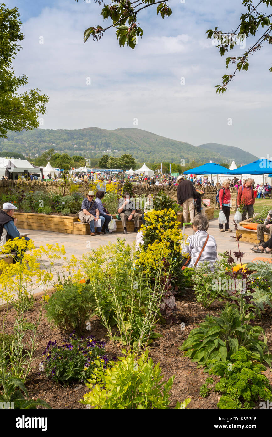 La recente apertura del giardino di erbe progettato da Jekka McVicar al 2017 RHS Malvern spettacolo primaverile, Worcestershire, Inghilterra Foto Stock