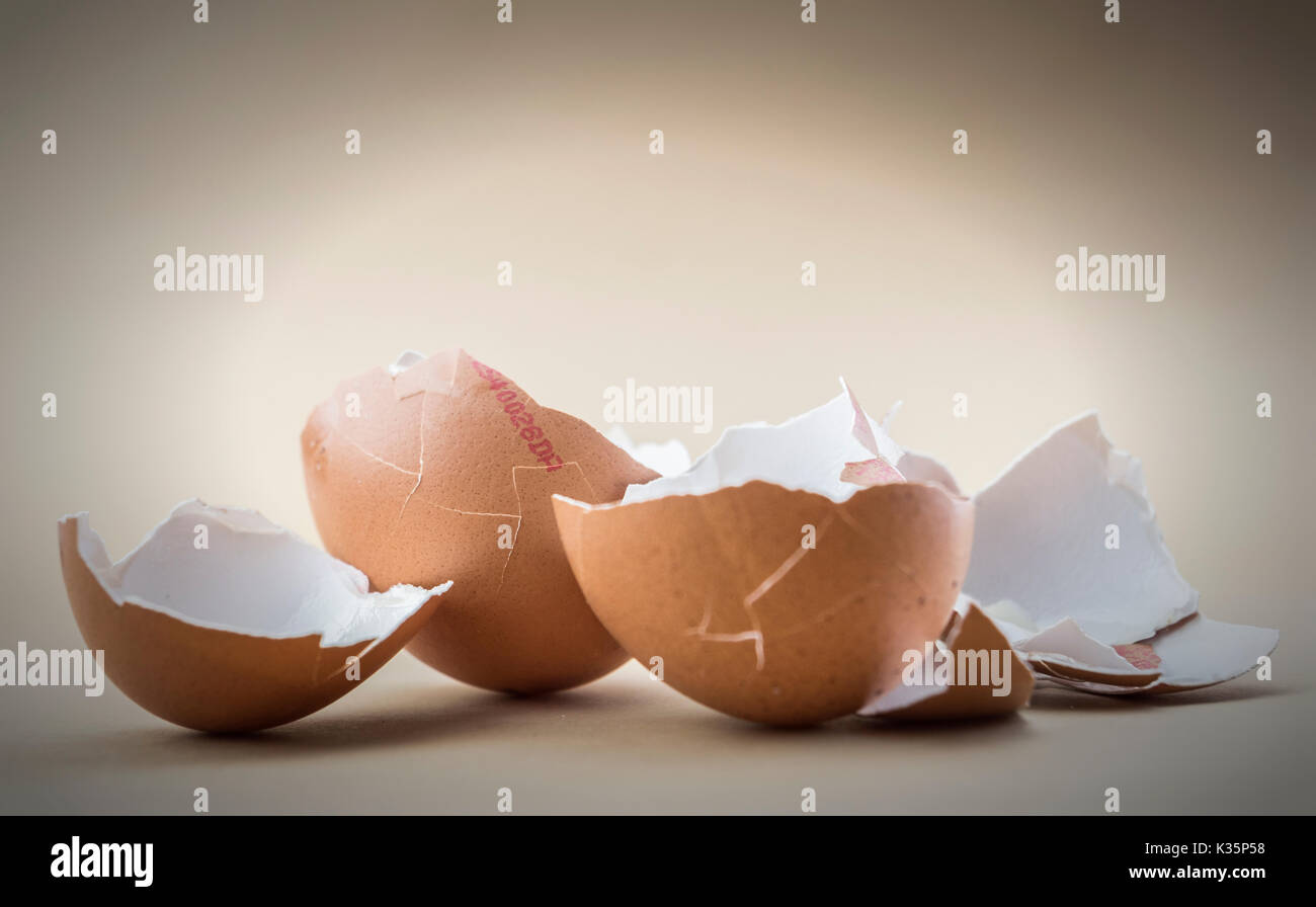 Sparse rotto gusci uovo isolato in uno sfondo bianco Foto Stock