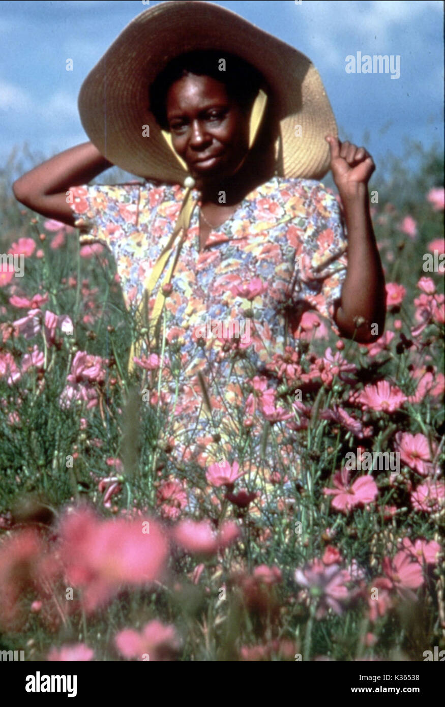 Il Colore Viola Whoopi Goldberg data: 1985 Foto stock - Alamy