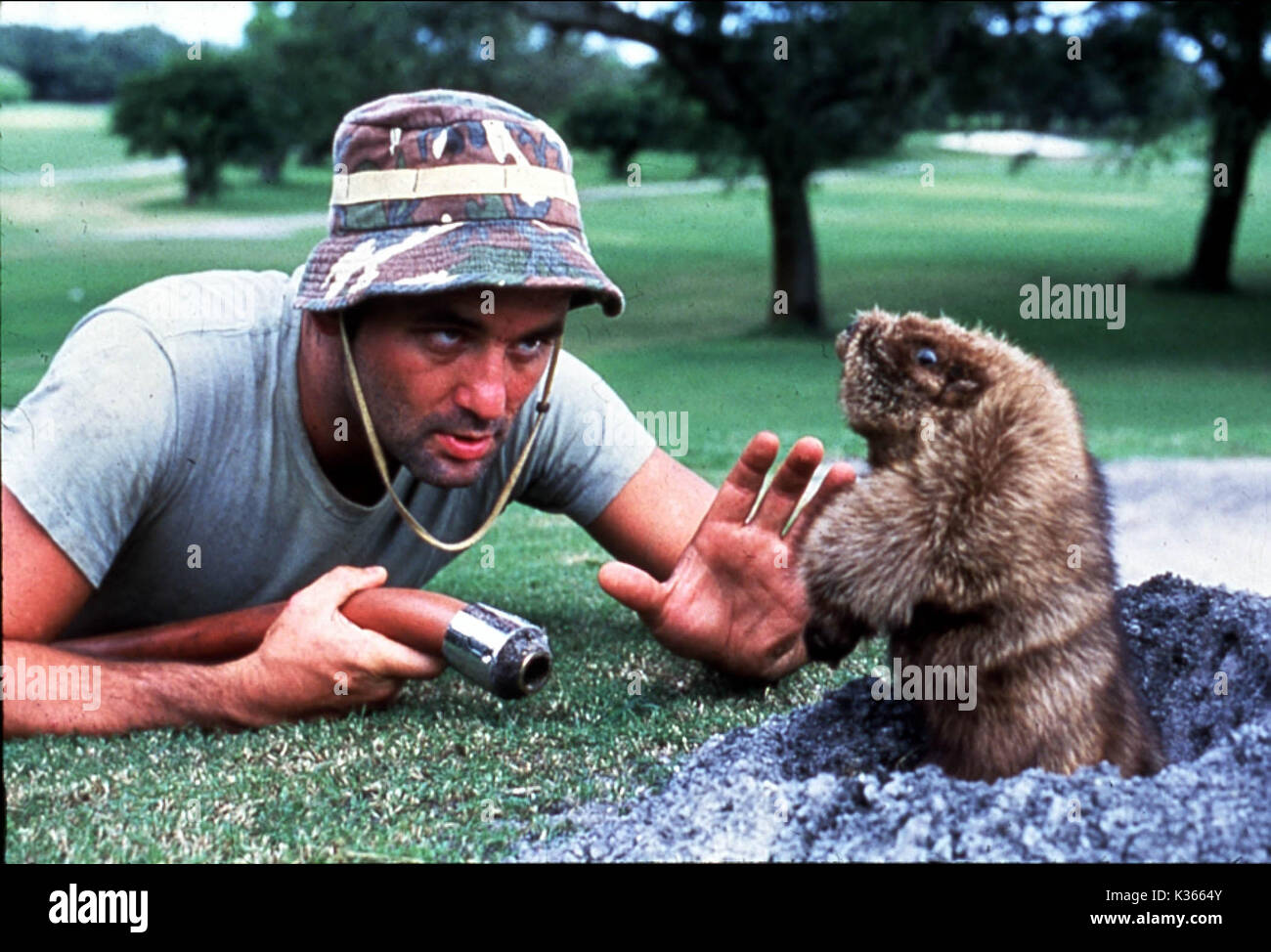 CADDYSHACK Bill Murray data: 1980 Foto Stock