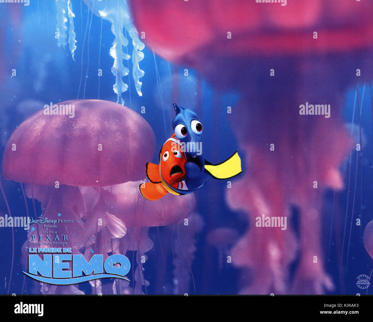 Alla ricerca di Nemo Marlin e Dory tra le meduse SI PREGA DI CREDITO/Disney Pixar data: 2003 Foto Stock