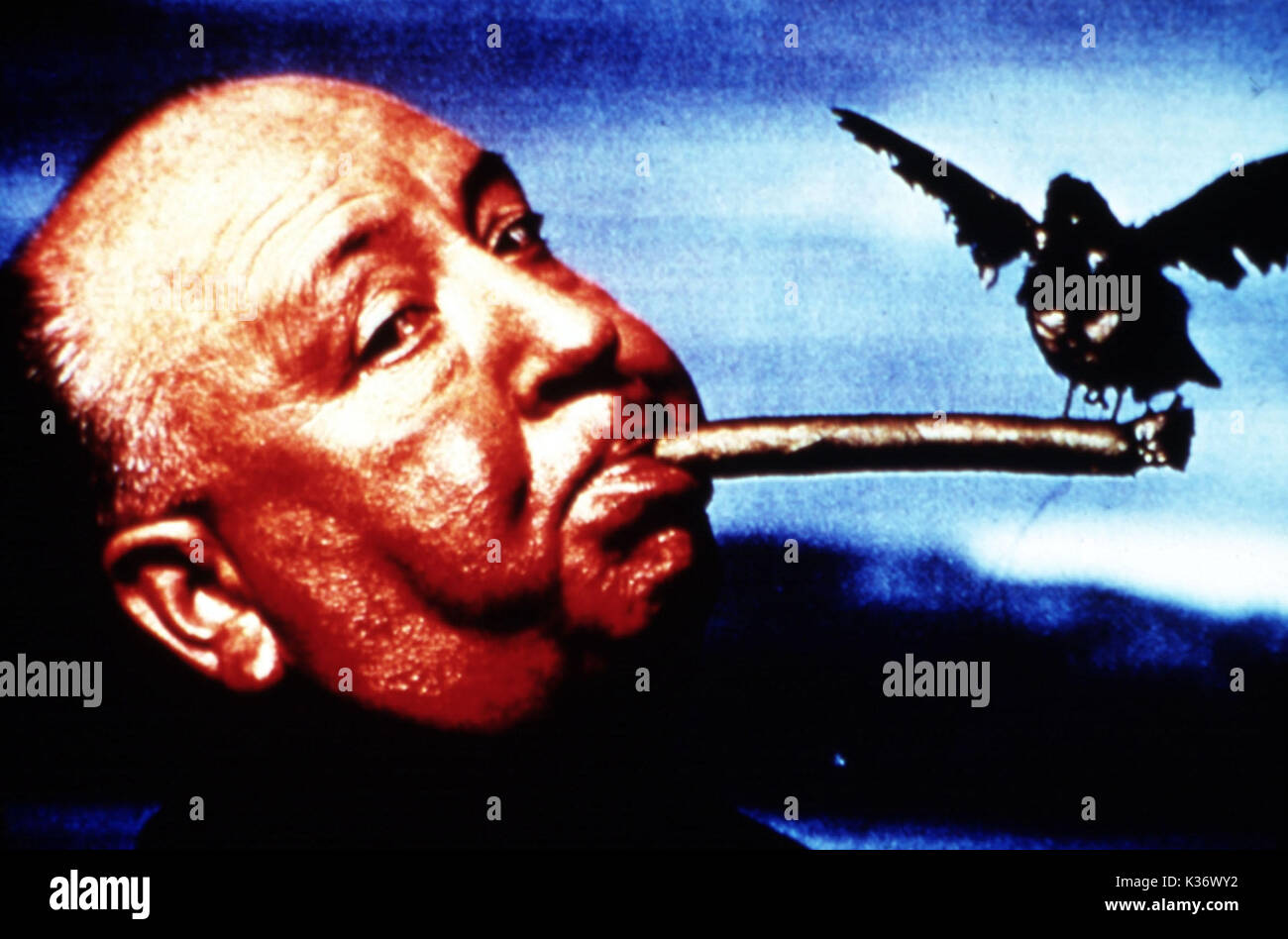 ALFRED HITCHCOCK Foto Stock