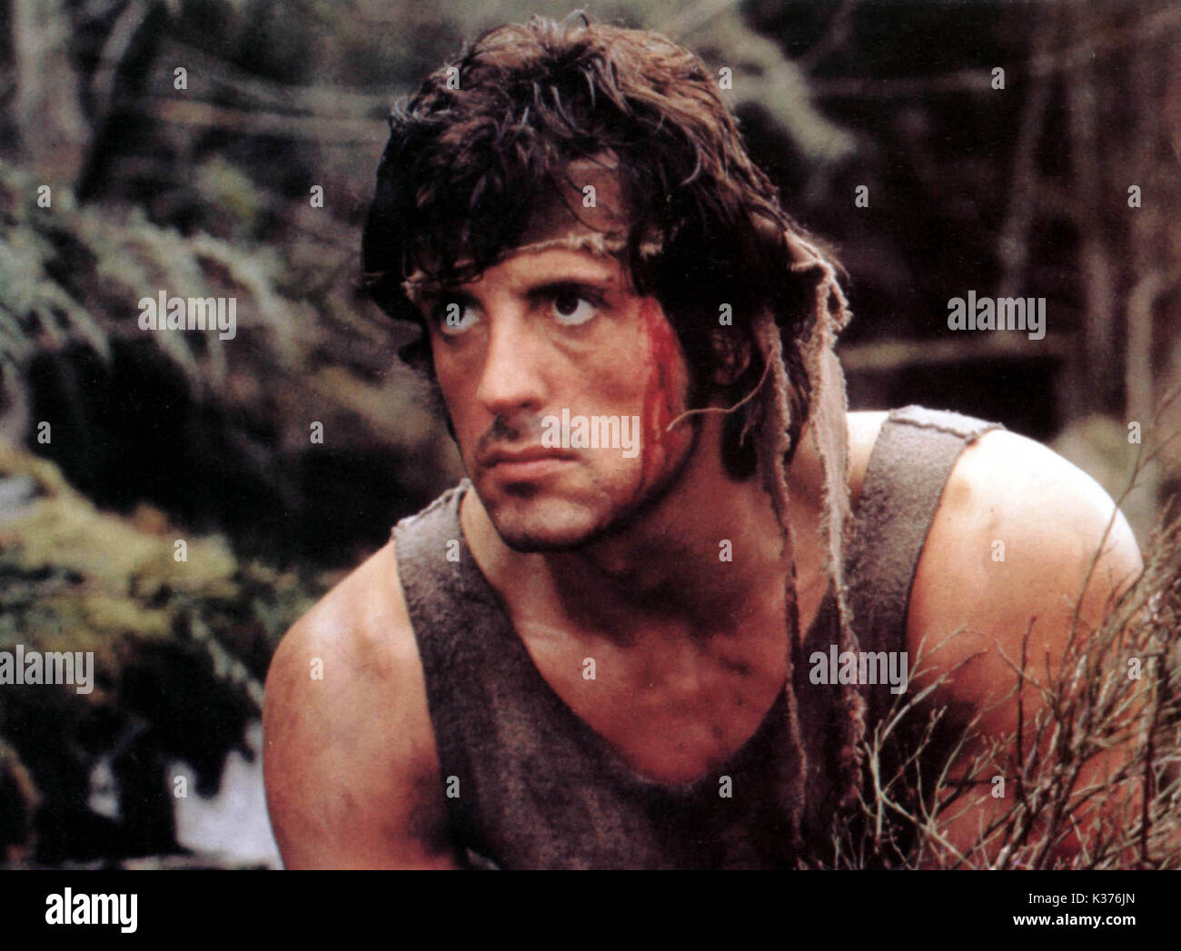 RAMBO: primo sangue Sylvester Stallone data: 1982 Foto Stock