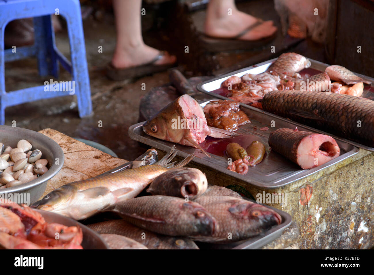 Fish monger nel mercato giornaliero in Mai Chau, Vietnam, la vendita di una selezione di pesci vivi, filetti di pesce e crostacei. Foto Stock