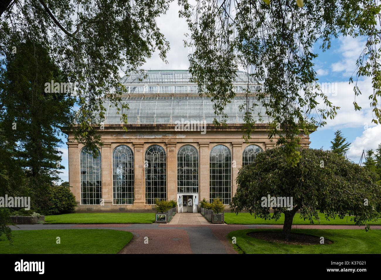 Esperienza di serra, Royal Botanical Garden Edinburgh Foto Stock