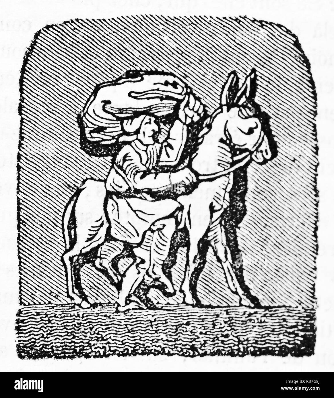 Vecchia illustrazione di un mulattiere. Dopo il disegno del distrutto misericord a Corbeil Saint-Spire cattedrale. Pubblicato il Magasin pittoresco, Parigi, 1834 Foto Stock