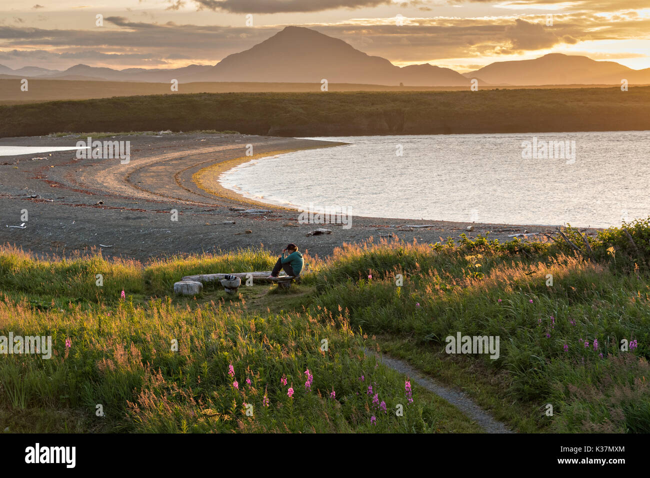 Un camper orologi il tramonto sopra le montagne Chigmit e McNeil Cove al McNeil River State Game Santuario sulla Penisola di Kenai, Alaska. Il sito remoto è accessibile solo con un permesso speciale ed è il più grande del mondo di popolazione stagionale di orsi bruni nel loro ambiente naturale. Foto Stock