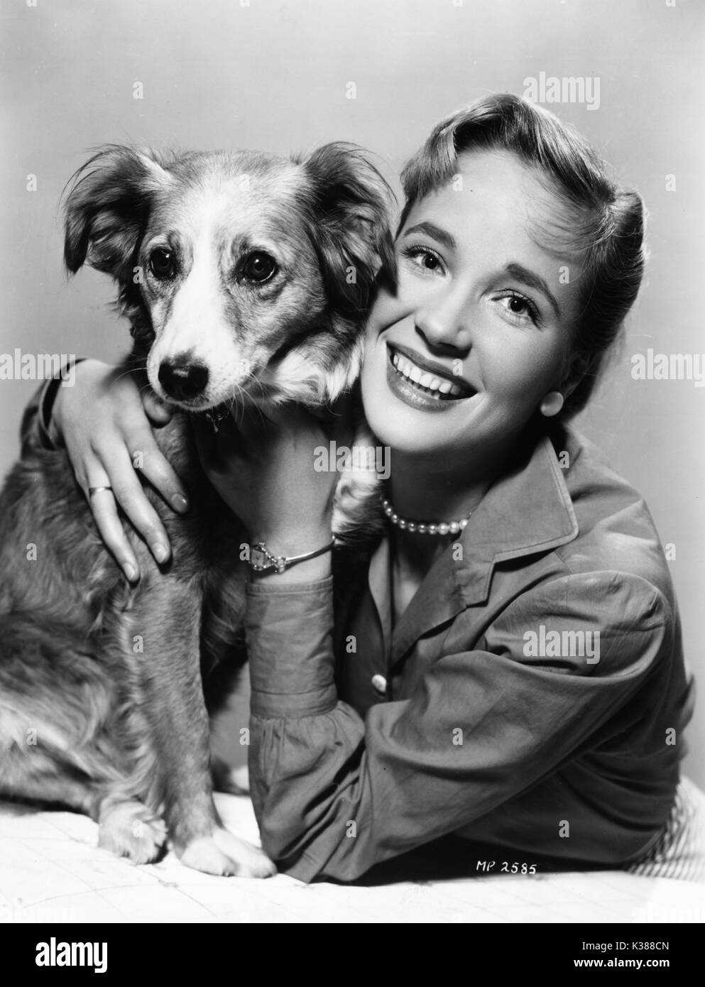 SYLVIA SYMS A CASA A METÀ ANNI CINQUANTA CON IL SUO CANE PETER Foto Stock