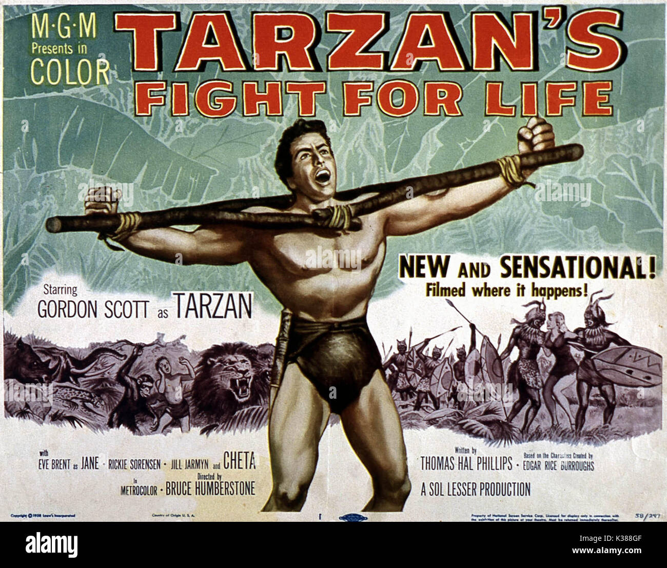 TARZAN nella lotta per la vita [US 1958] Data: 1958 Foto Stock