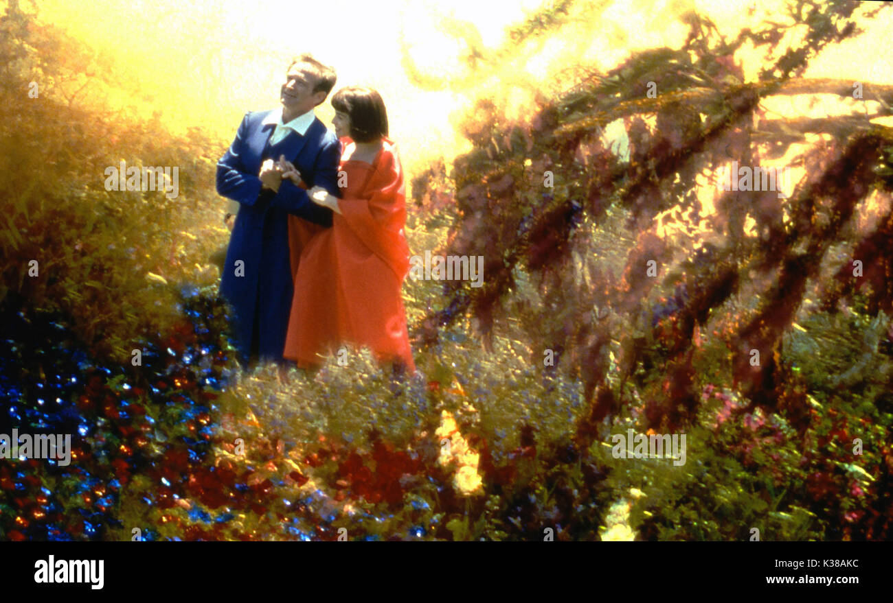 QUALI SOGNI POSSONO VENIRE ROBIN WILLIAMS, ANNABELLA SCIORRA QUALI SOGNI POSSONO VENIRE ROBIN WILLIAMS, ANNABELLA SCIORRA data: 1998 Foto Stock
