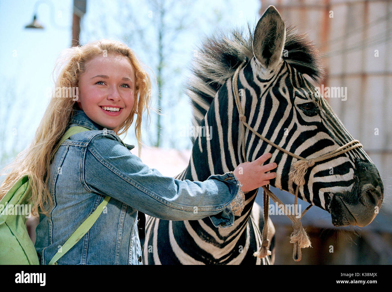 HAYDEN PANETTIERE and STRIPES, doppiato da FRANKIE MUNIZ, nel live action della Alcon Entertainment / CGI animation Family motion picture Racing Stripes, distribuito dalla Warner Bros. Pictures. FOTOGRAFIE DA UTILIZZARE ESCLUSIVAMENTE PER PUBBLICITÀ, PROMOZIONE, PUBBLICITÀ O RECENSIONI DI QUESTO FILM SPECIFICO E PER RIMANERE DI PROPRIETÀ DELLO STUDIO. NON IN VENDITA O RIDISTRIBUZIONE. STRISCE DA CORSA HAYDEN PANETTIERE e STRISCE, doppiata da FRANKIE MUNIZ HAYDEN PANETTIERE e STRISCE, doppiata da FRANKIE MUNIZ, in Alcon Entertainments live action / CGI animation Family motion picture Racing Foto Stock