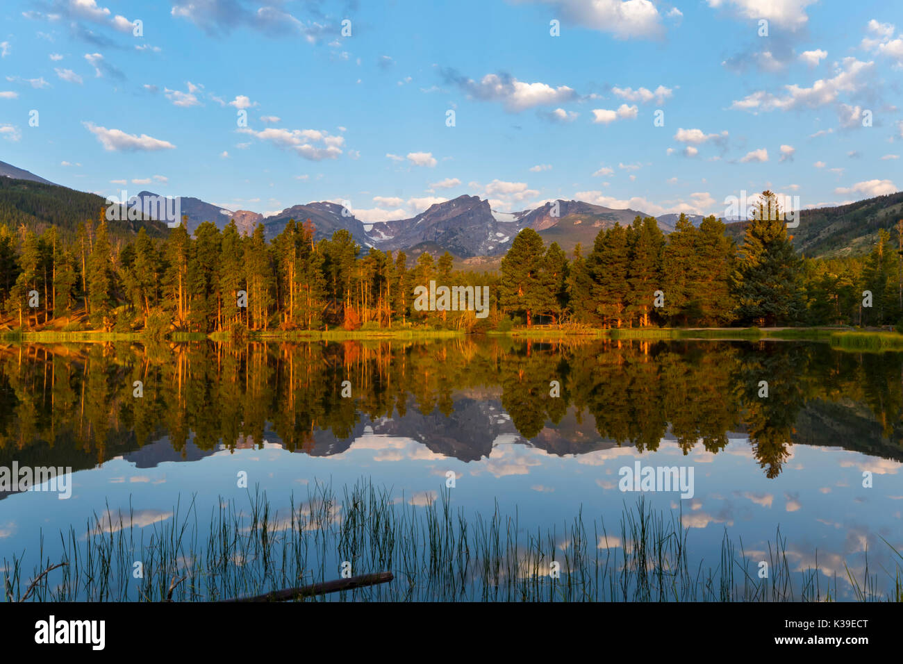 Bella calda luce colpisce la alberi sempreverdi lungo lago Sprague nel Parco Nazionale delle Montagne Rocciose Foto Stock