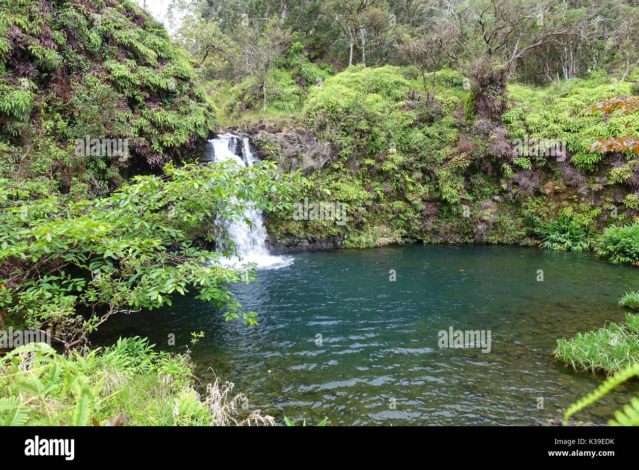 La Strada di Hana si allunga 68 miglia tra Kahalui e la città di Hana sull'isola di Maui, Hawaii. Foto Stock