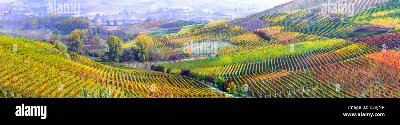 Incredibile collezione autunno variopinti vigneti del Piemonte - regione di vite di Italia Foto Stock