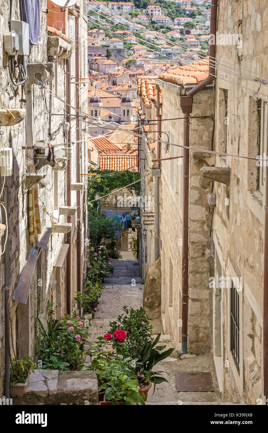 La città vecchia di Dubrovnik, un sito Patrimonio Mondiale dell'UNESCO, con tetti, torri della cattedrale e una delle tipiche stradine strette Foto Stock