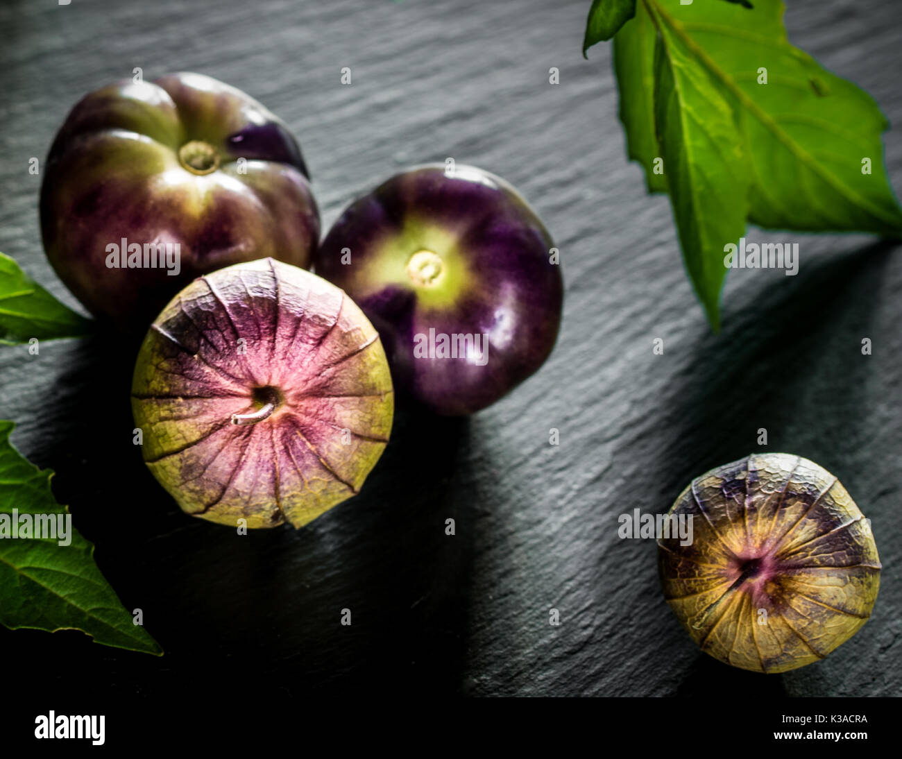 Viola tomatillo Foto Stock