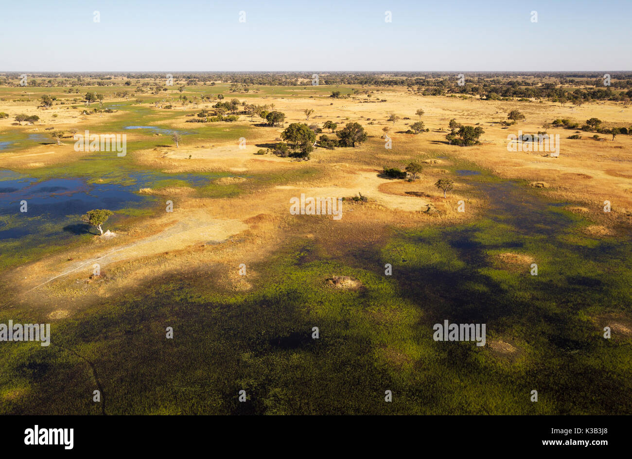 Paludi d'acqua dolce con flussi, i canali e le isole, vista aerea, Okavango Delta, Moremi Game Reserve, Botswana Foto Stock
