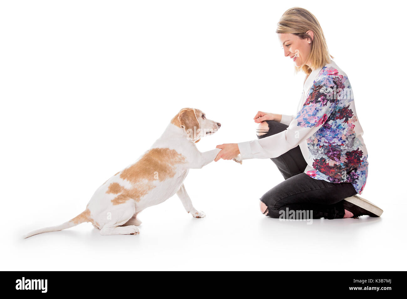 Cane con la donna sono in posa di studio - isolato su sfondo bianco Foto Stock