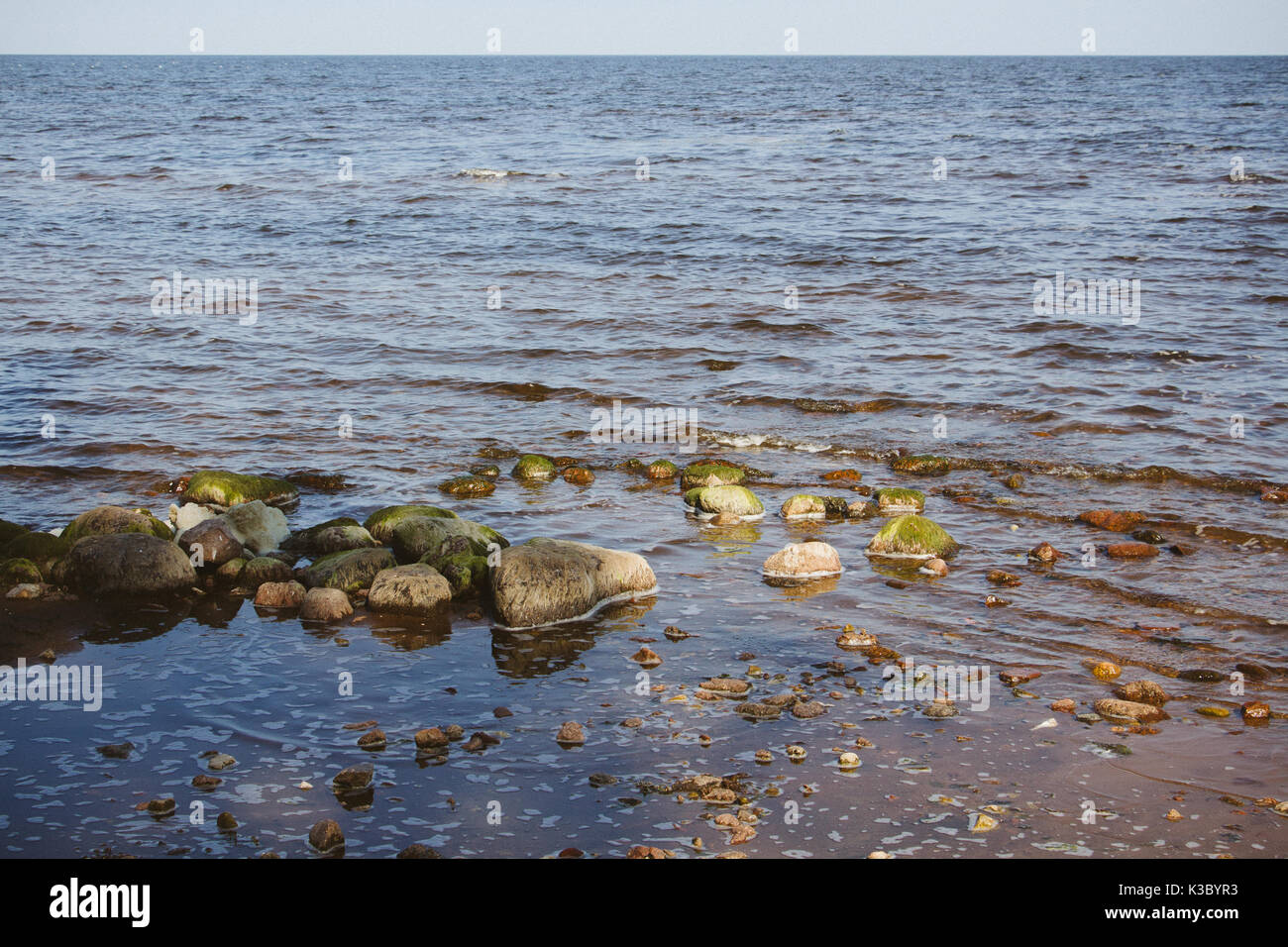 Natura dal lago Peipus, Estonia, il quinto lago più grande in Europa Foto Stock