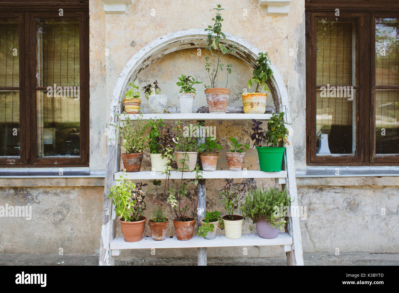 Vasi da fiori sul ripiano di legno con uno sfondo con sensazione di vintage Foto Stock