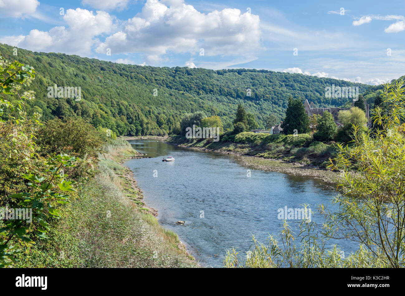 Il fiume Wye a Tintern nella valle del Wye Galles del Sud Foto Stock