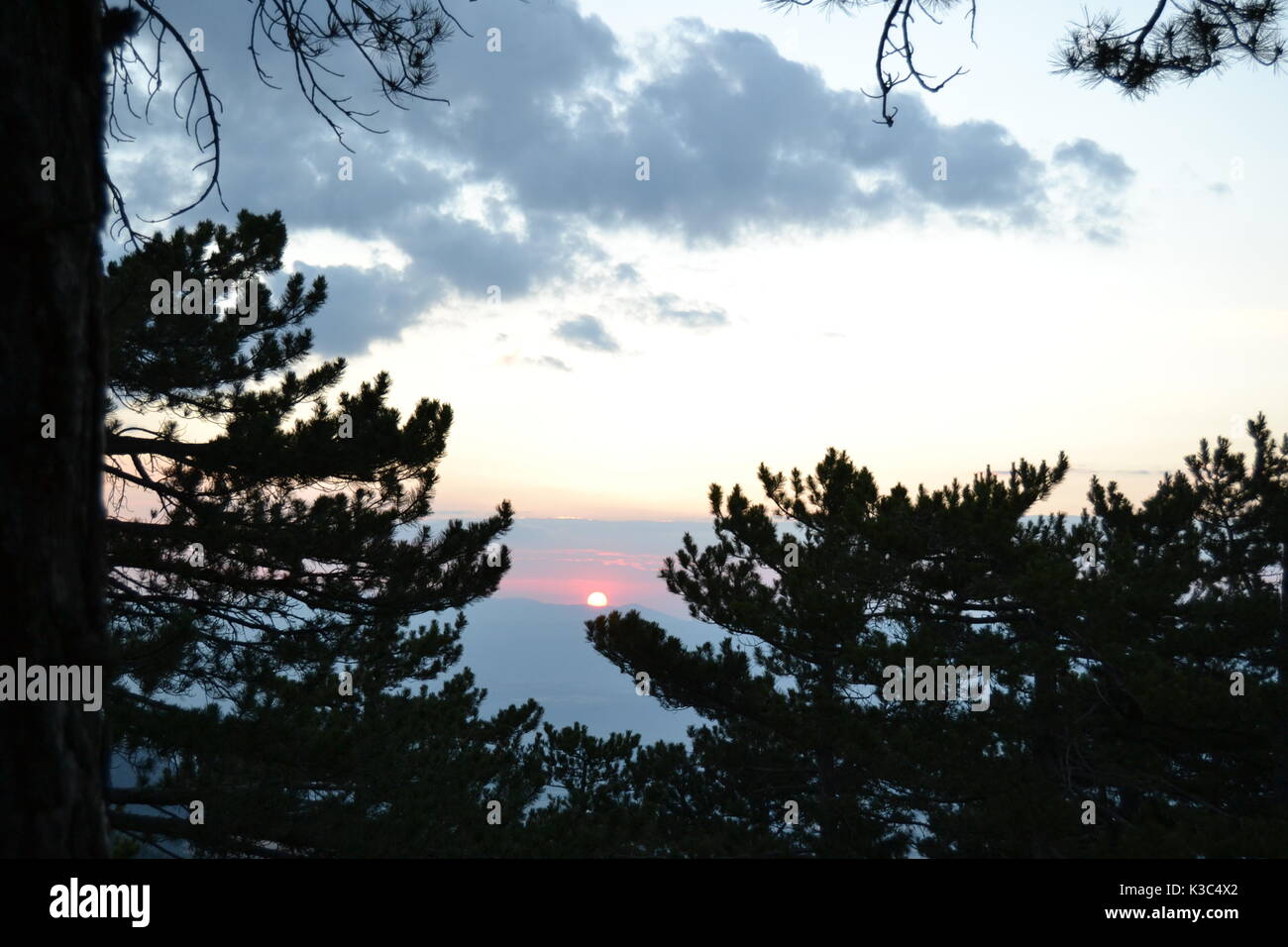 Sun va giù. Tramonti, alberi e sun,Tramonto Foto Stock