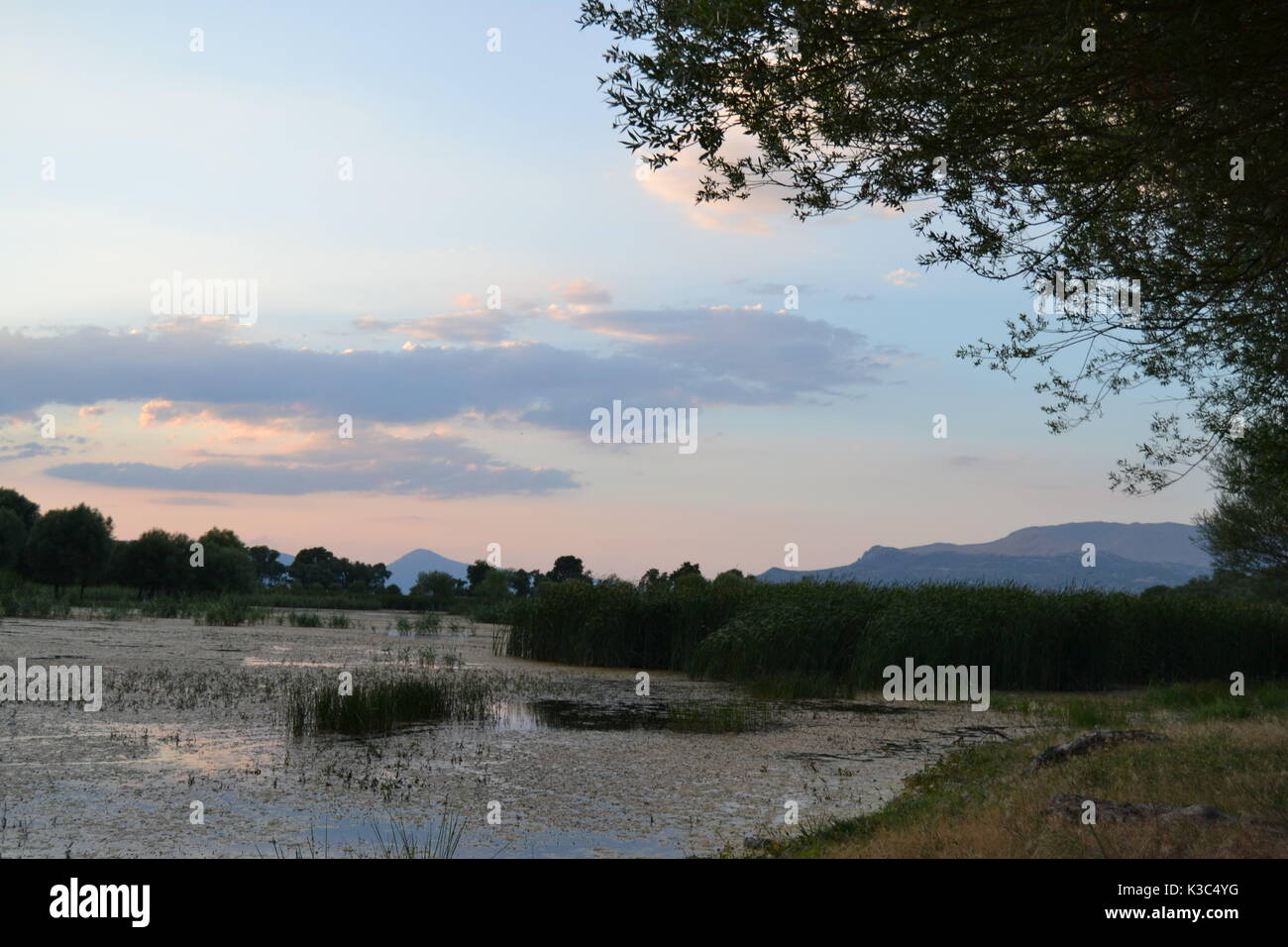 Lago ,alberi, Sun verso il basso, il fascio di luce Foto Stock