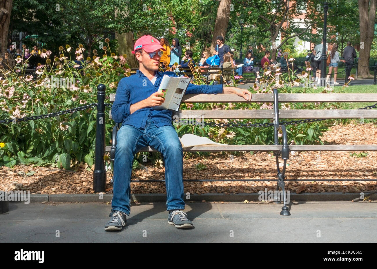 Un giovane uomo di lettura del New Yorker Magazine e godendo di un sole estivo a Washington Square Park nel Greenwich Village di New York Foto Stock