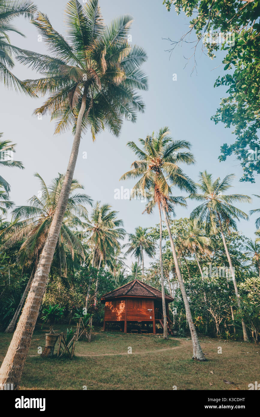 Tangalle, sud della provincia, Sri Lanka - Aprile 27, 2017: Palm Paradise Cabanas e capanne beach resort sulla spiaggia di Tangalle in Sri Lanka Foto Stock