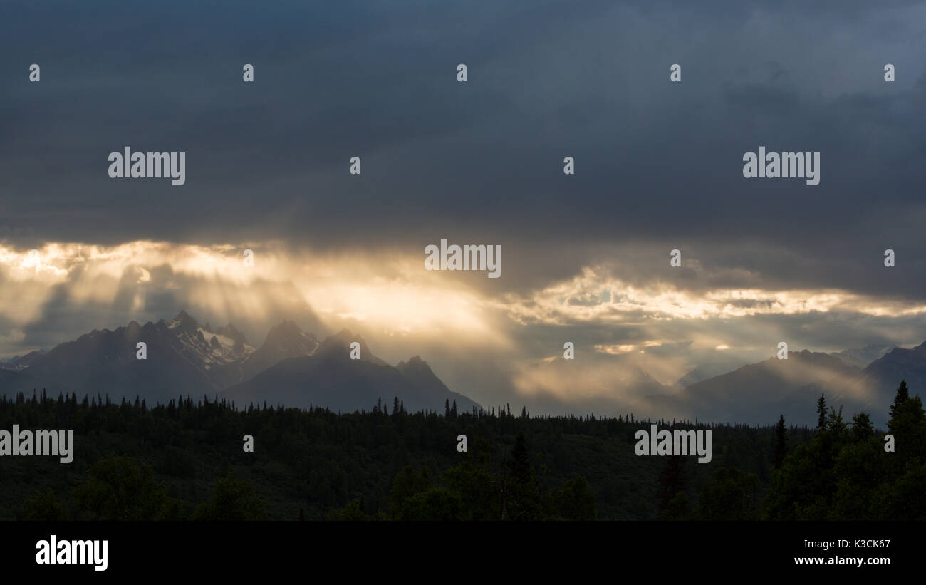 Outlook Alaska Range, Denali Nationalpark, Talkeetna, Denali Viewpoint Sud, Alaska, STATI UNITI D'AMERICA Foto Stock