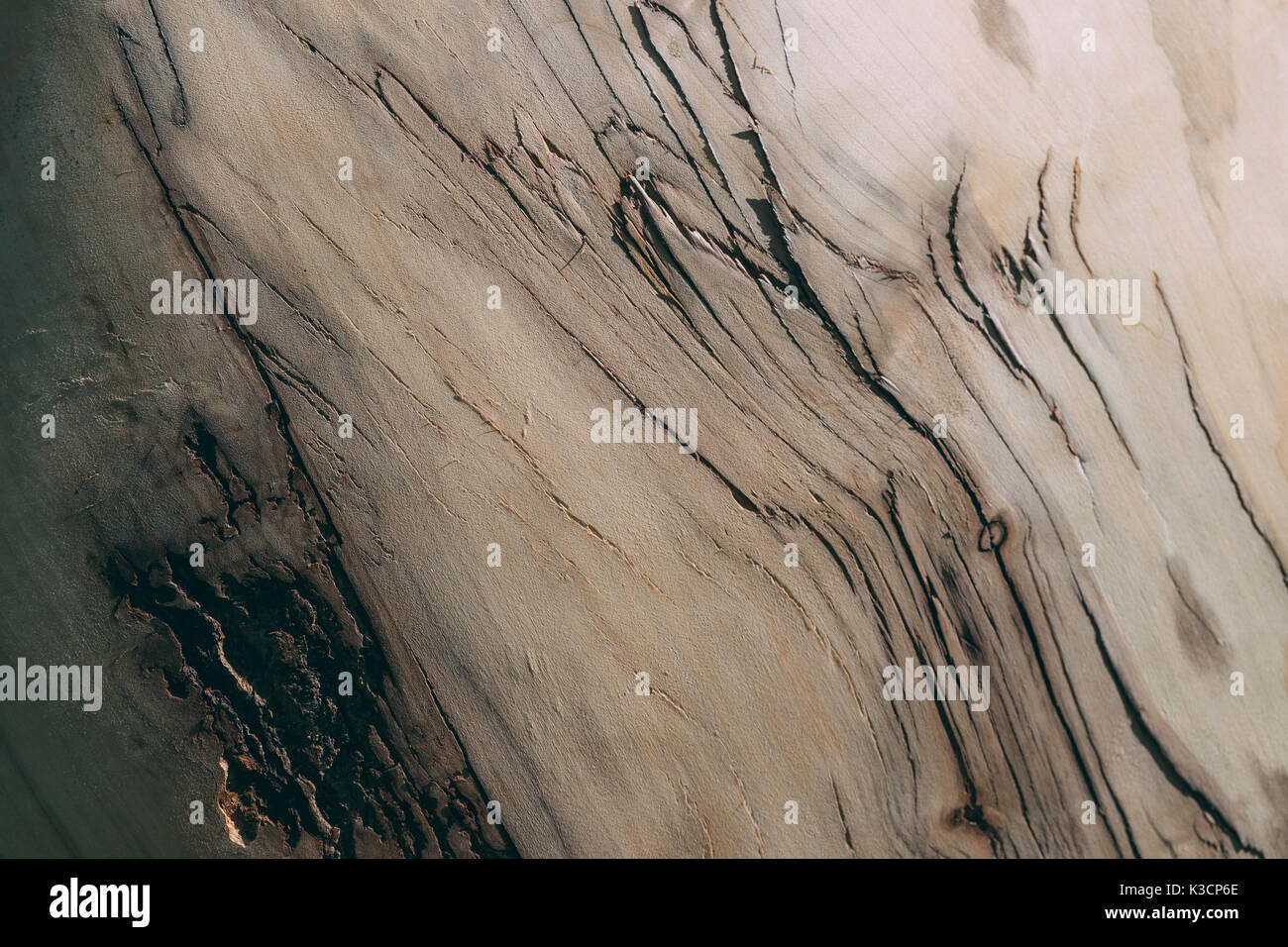 Tavola di legno con texture. Foto Stock