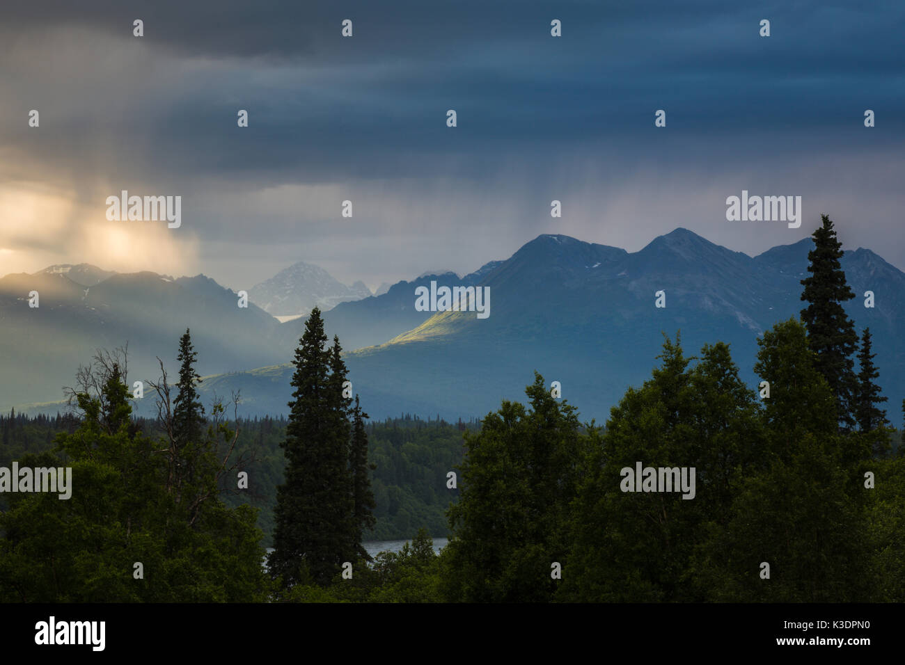 Outlook Alaska Range, Denali Nationalpark, Talkeetna, Denali Viewpoint Sud, Alaska, STATI UNITI D'AMERICA Foto Stock