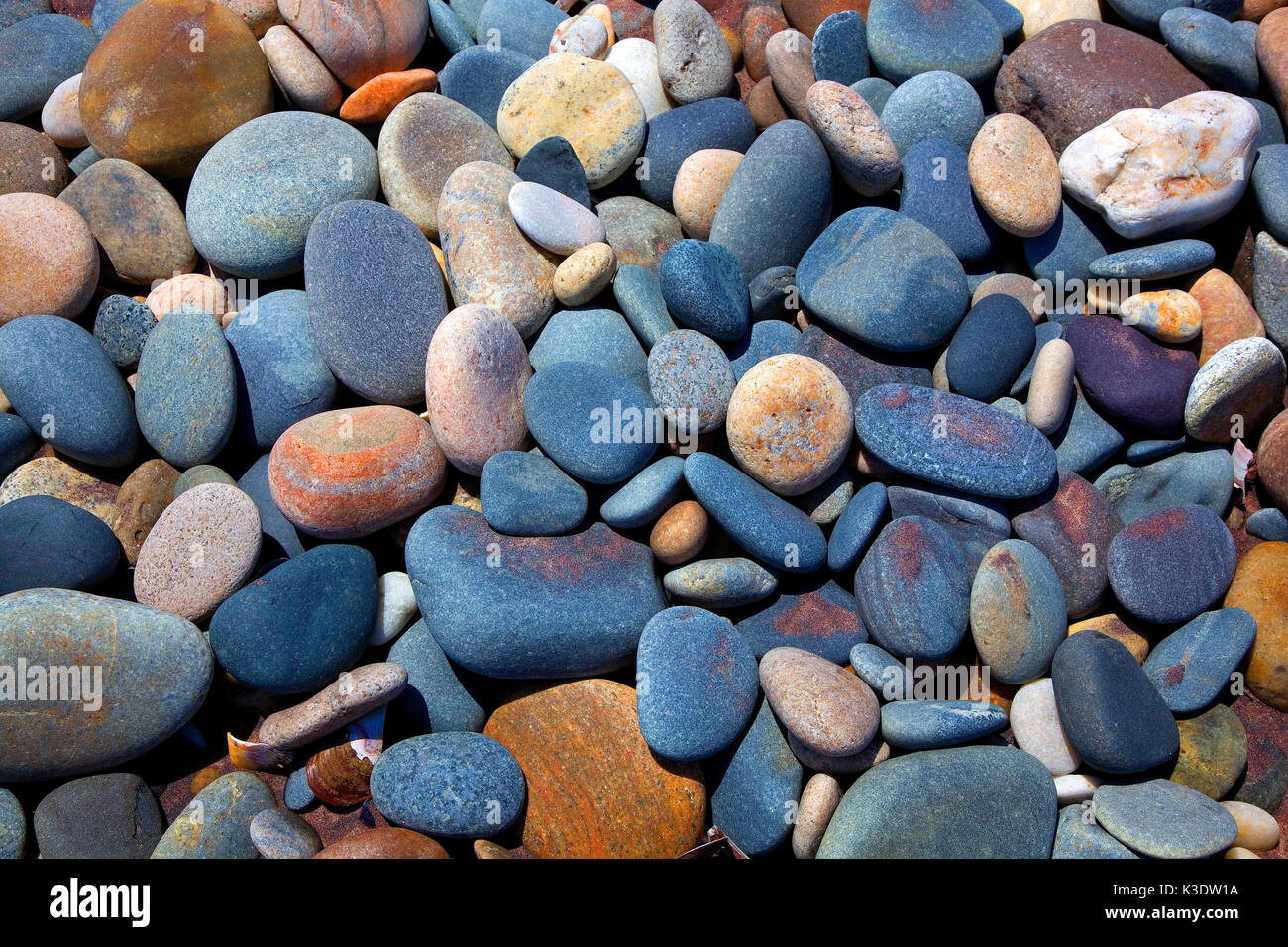 Africa, Sud Africa, Namibia, l'Atlantico, spiaggia, Swakopmund, nord Dorob parco nazionale, Foto Stock